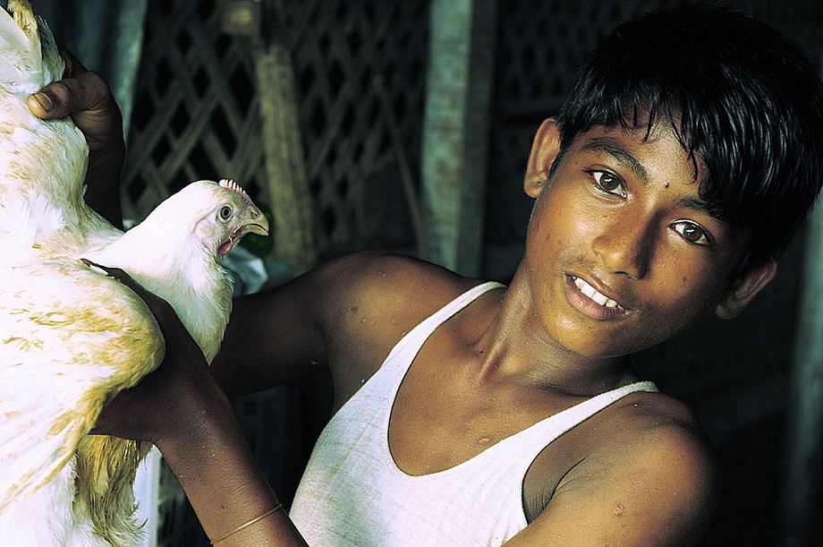 Teknaf - chłopiec sprzedający jaja i kurczaki (Bangladesz 2010 - część 1/2)